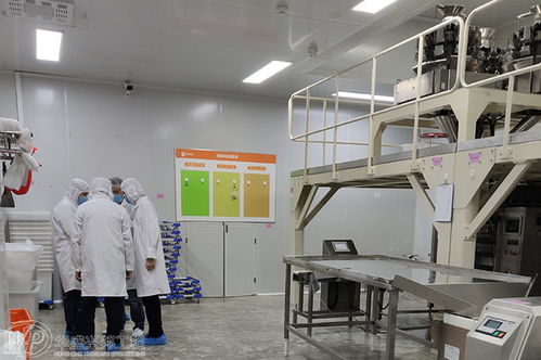 潔凈室維護管理與凈水設備的關鍵維護內容